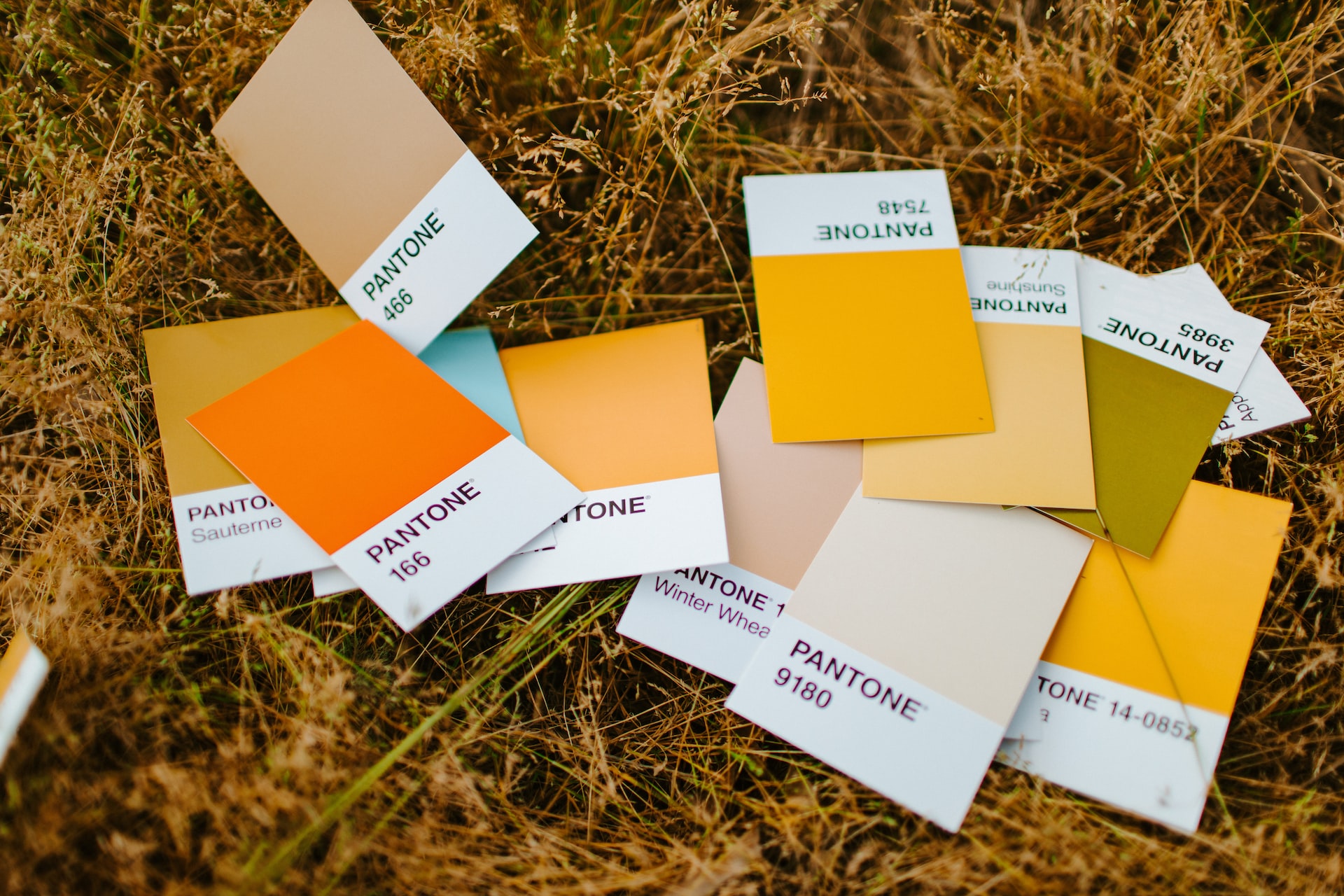 How to Choose the Right Pantone Color for Printing - pantone color swatches